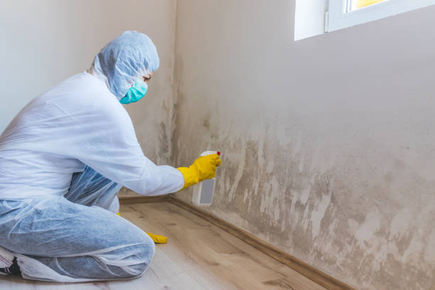 Crawl Space Mold Remediation treatment of floor joists in Dunellen